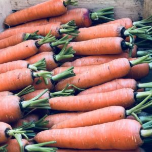 Carotte (env. 500g)