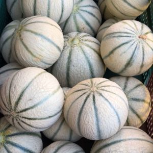 PETIT Melon (pièce)
