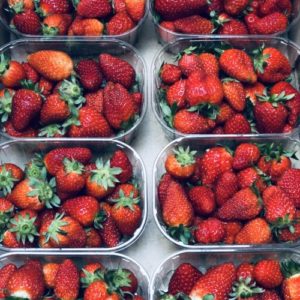 Fraise pâtissière (250g)