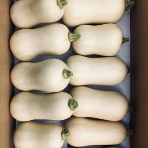 Courge butternut (lot tranches env. 1kg)