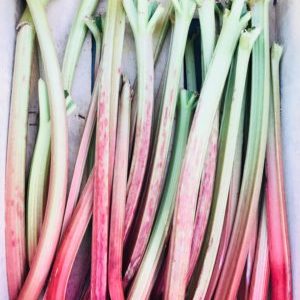 Rhubarbe (env. 500g)