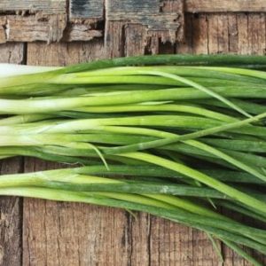 Oignon vert (botte)