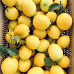 Citron 4 SAISONS (env. 500g)*Gros calibre*